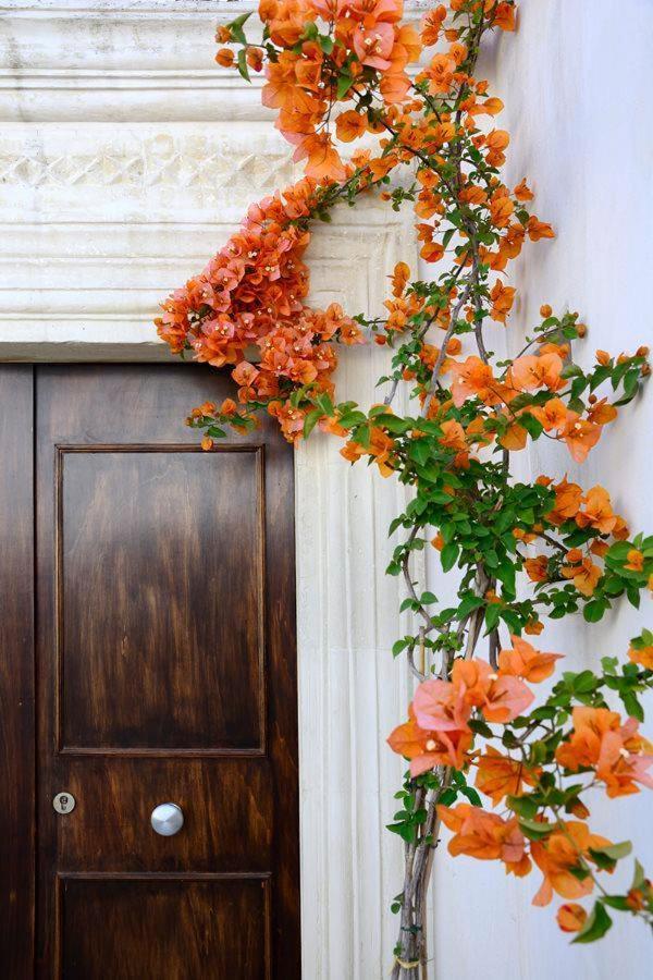 Il Giardino Bed and Breakfast Grottaglie Εξωτερικό φωτογραφία