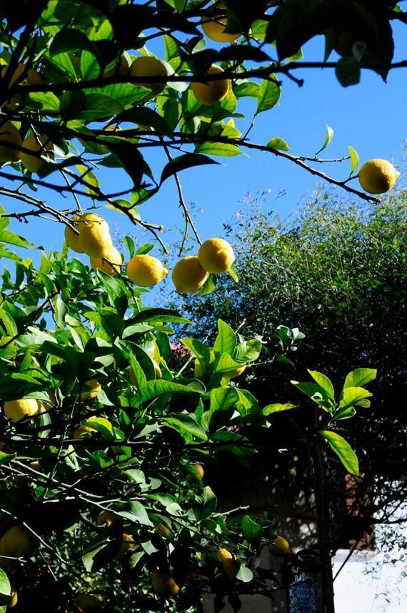 Il Giardino Bed and Breakfast Grottaglie Εξωτερικό φωτογραφία